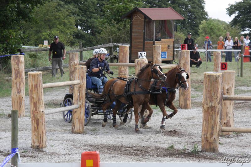 20080809_123114_0021 Rebecca Kristiansen Billingens Distansridklubb