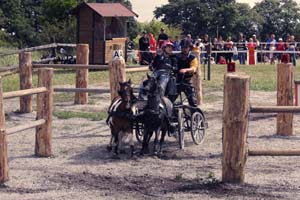 20080809_121654_0009 Camilla Arthursson Billingens Distansridklubb