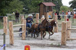 20080809_123114_0021 Rebecca Kristiansen Billingens Distansridklubb