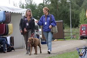 20080828_132550_0156