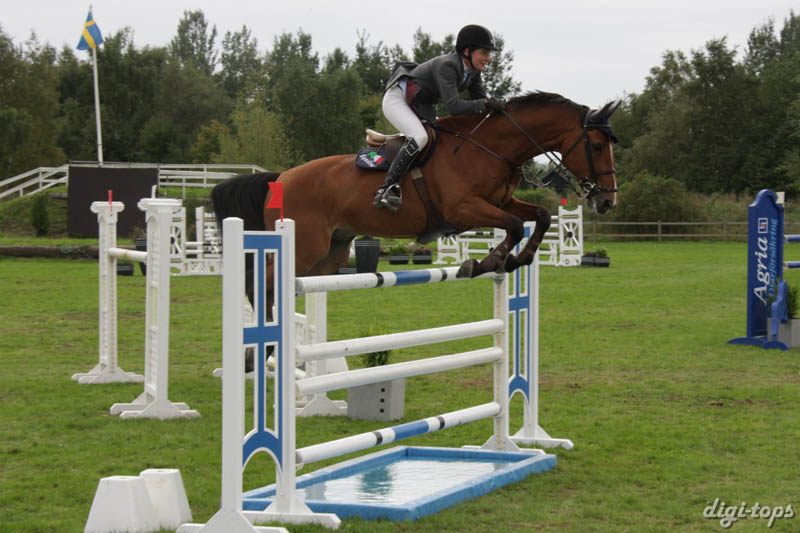 20080828_162106_0009 Helena Persson Clark 11