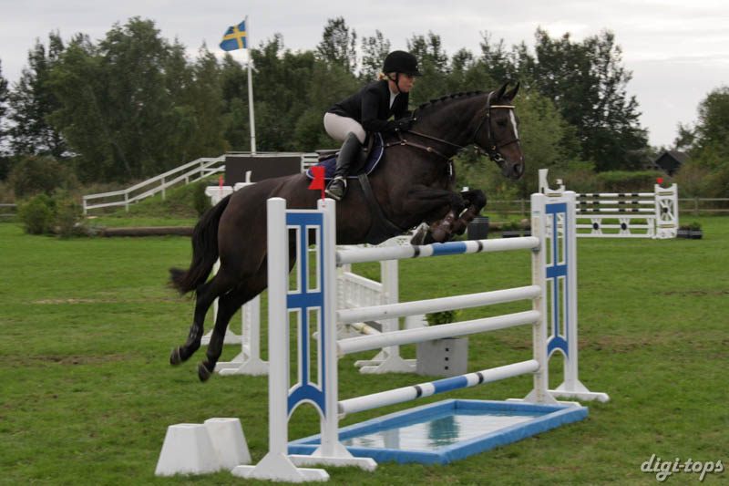 20080828_171610_0305 Maria Fieber Dollydoo