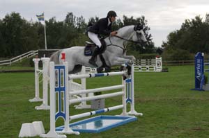 20080828_171406_0294 Henrik Ankarcrona Etrusco