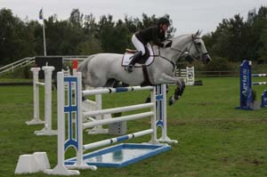 20080828_173558_0408 Sofie Andersson Handsken