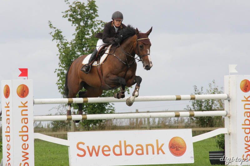 20080828_124502_0058 Elin Hultberg Midsummer