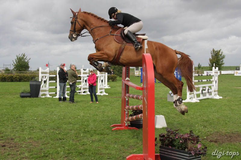 20080828_133028_0169 Maria Fieber Nasdaq