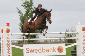 20080828_124502_0058 Elin Hultberg Midsummer