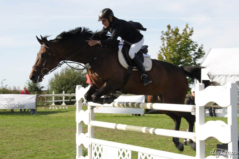 20080829_164758_1056 Pia Levin Cupol