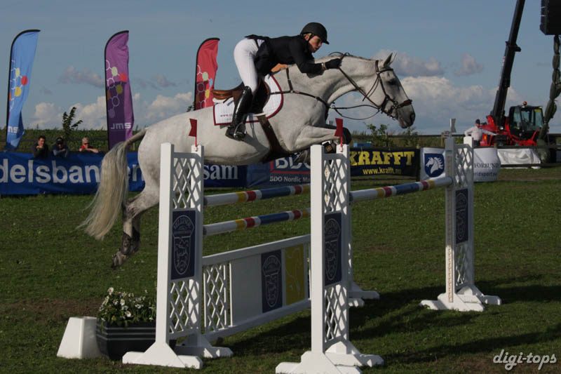 20080829_170916_1143 Sofie Andersson Handsken