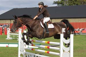 20080829_152210_0867 Catrin Lindh Beckasin