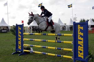 20080829_104406_0238 Petronella Andersson Serna Sans Mere