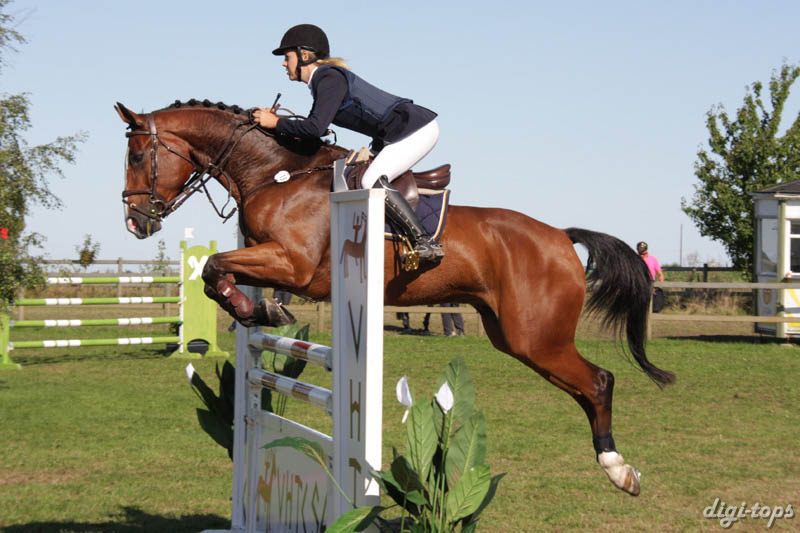 20080830_102622_0135 Eleonor Bellander Diamond