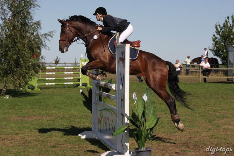 20080830_103718_0201 Filippa Granting Cannelloni