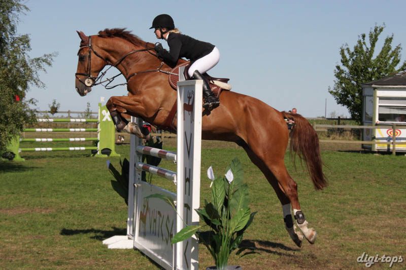 20080830_110216_0338 Maria Fieber Nasdaq