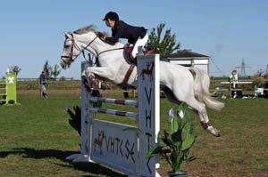 20080830_100810_0045 Rebecca Lindberg Chicago Z