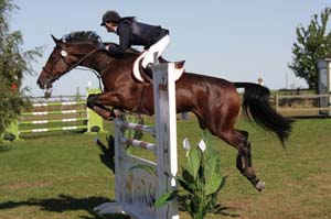 20080830_101532_0081 Carolina Kullman Miranda Marcos