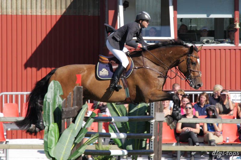 20080830_155218_1001 Marlene Lindblad Corde