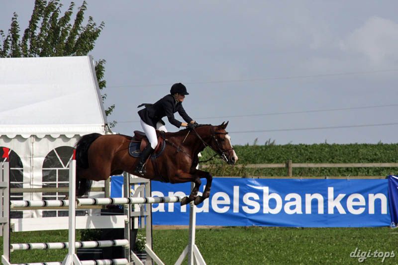 a20080828_103252_0175 Rebecca Lindberg Limited Edition