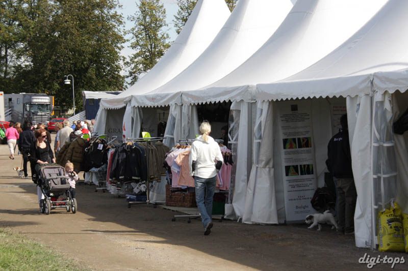 b20080829_152344_0873