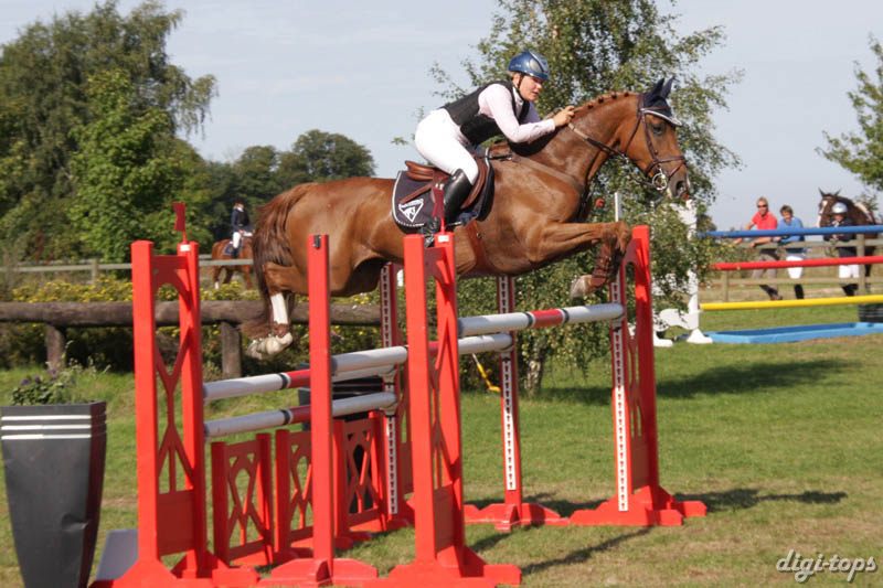 20080831_105912_0316 Kim Krog Spit Fire Equus