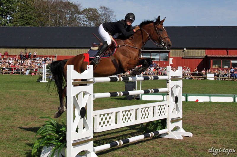 20080831_155114_0128 Victoria Almgren Red Midt Light