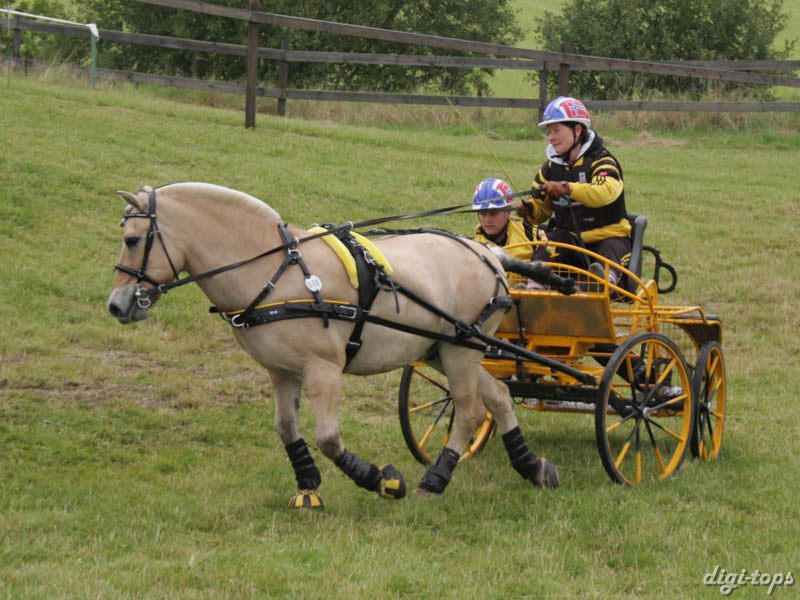 20080920_115746_0039 Wenche Johannessen nor