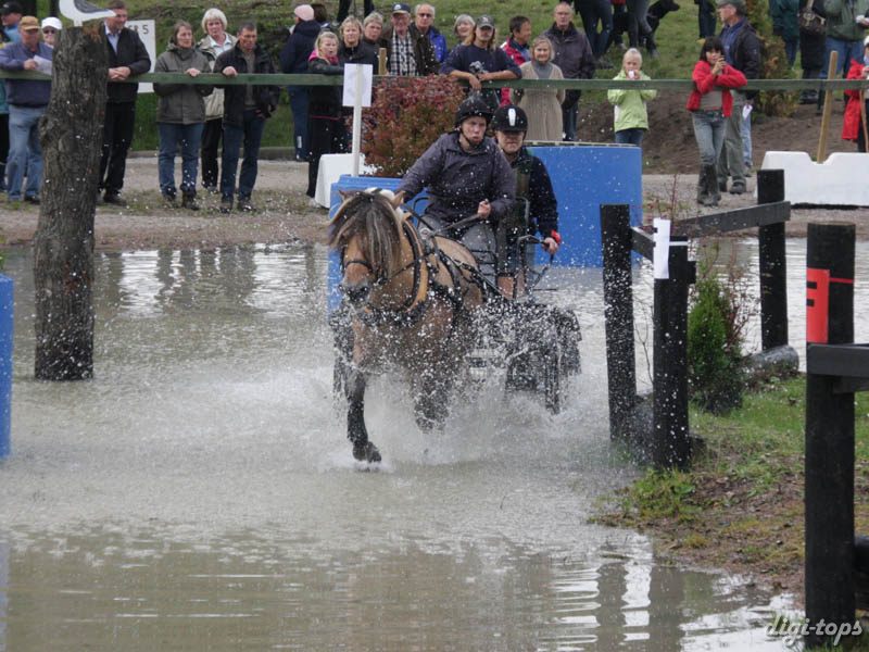 20080920_123756_0044