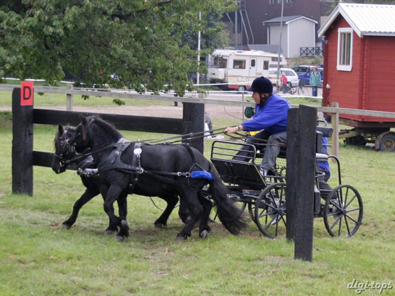 20080920_125914_0055 Ewa Kolmodin Weijmar swe