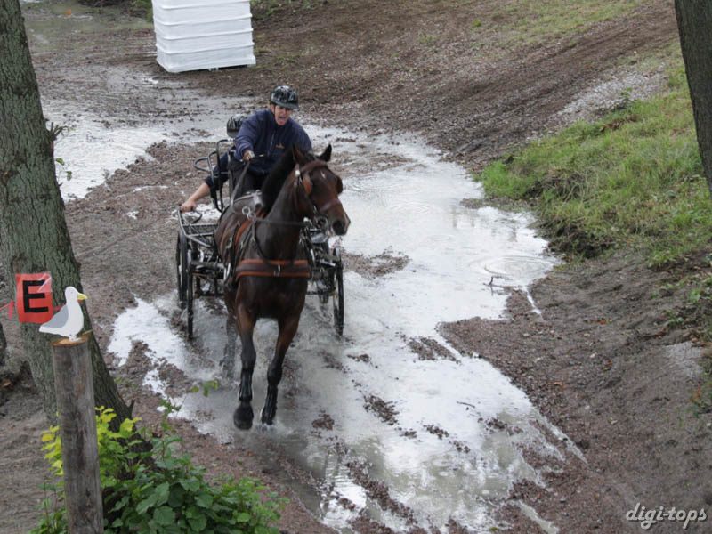 20080920_134532_0094 Anneli Blomberg swe