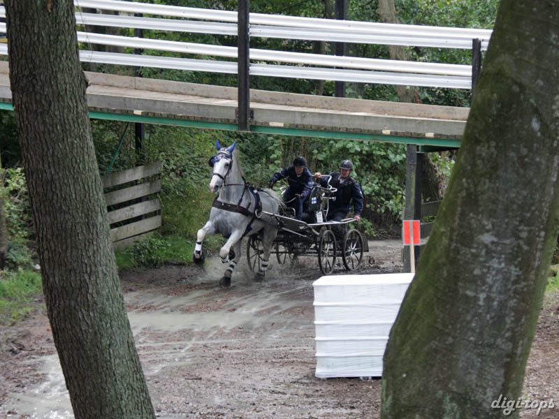 20080920_140912_0133 Tove-Marie Holmasto fin