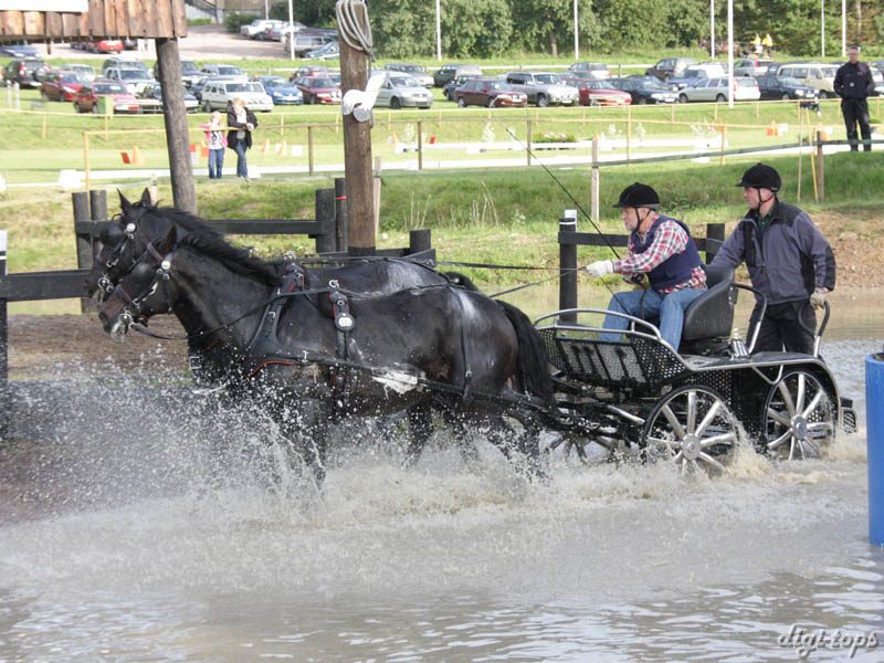 20080920_161912_0475 Tore Moksnes nor