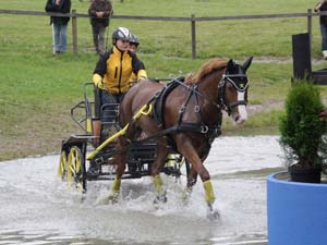 20080920_114658_0028 Kristina Klindt den