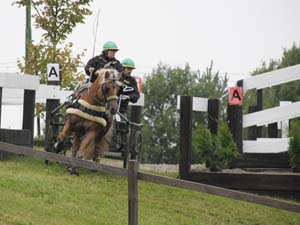 20080920_114856_0029