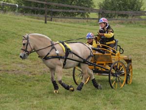 20080920_115746_0039 Wenche Johannessen nor