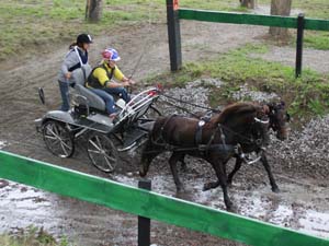 20080920_124314_0045 Ellen Olsen nor