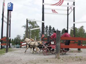 20080920_125738_0053 Katja Lamborg den