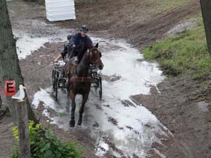 20080920_134532_0094 Anneli Blomberg swe