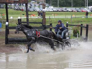 20080920_140302_0124 Heidi Sinda fin