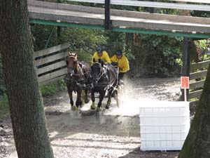 20080920_153540_0282 Kurt Klindt den