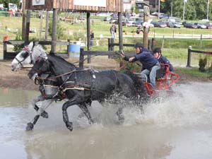 20080920_155242_0350 Ben Simonsen fim