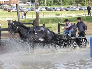 20080920_161912_0475 Tore Moksnes nor