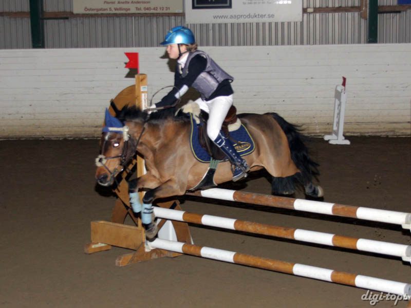 20081109_125224_0045 Cornelia Georgsson Persian Love