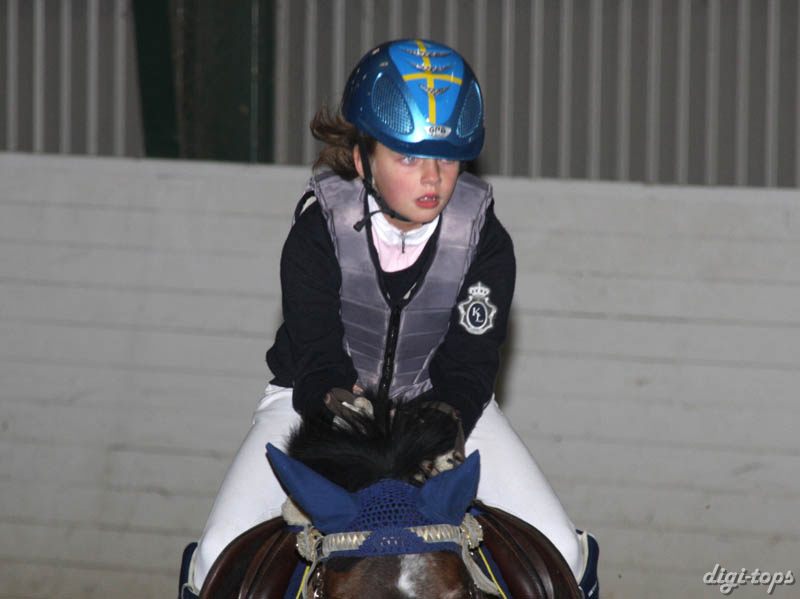 20081109_125234_0046 Cornelia Georgsson Persian Love