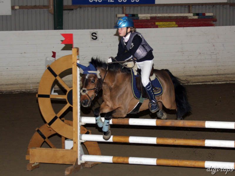 20081109_132338_0091 Cornelia Georgsson Persian Love