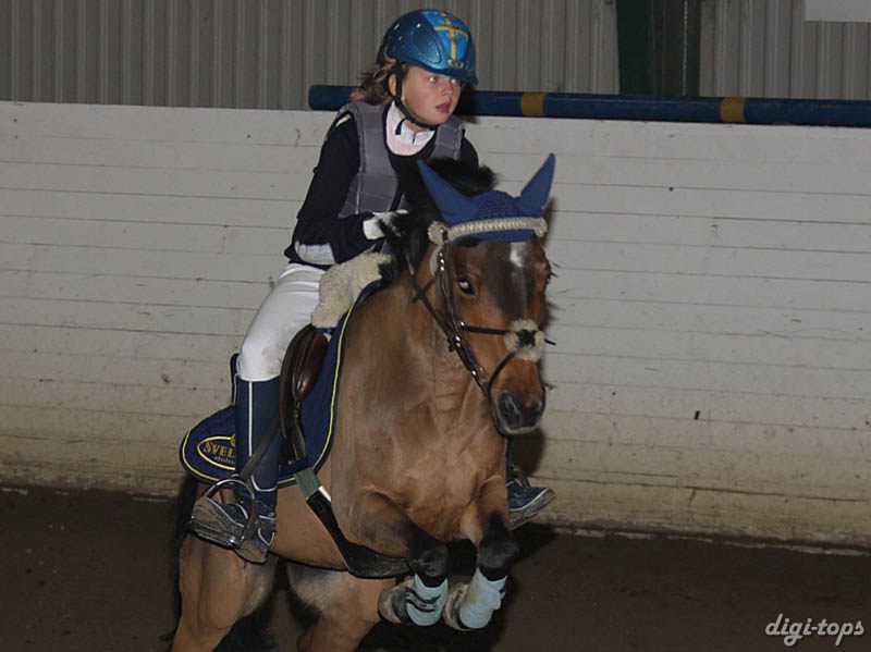 20081109_132348_0092 Cornelia Georgsson Persian Love