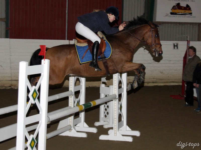 20081109_133426_0107 Petronella Runsteen Sprighty Abloom