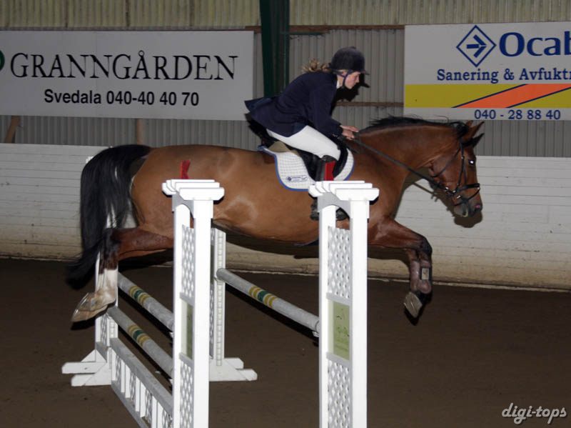 20081109_141556_0153 Petra Missler Camara