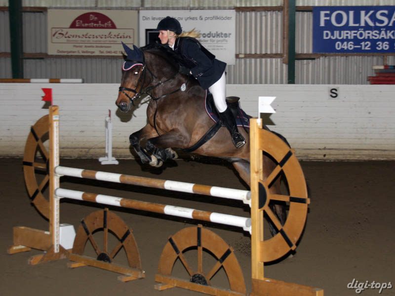 20081109_152456_0266 Anna Olsson Lagos