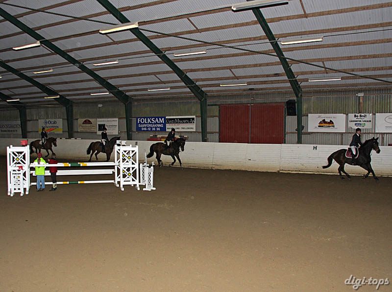 20081109_154506_0296