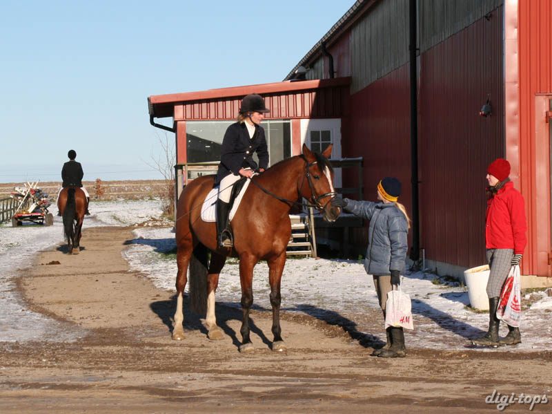 b_20081123_111254_0010